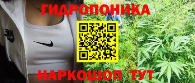 2c-b Лесосибирск