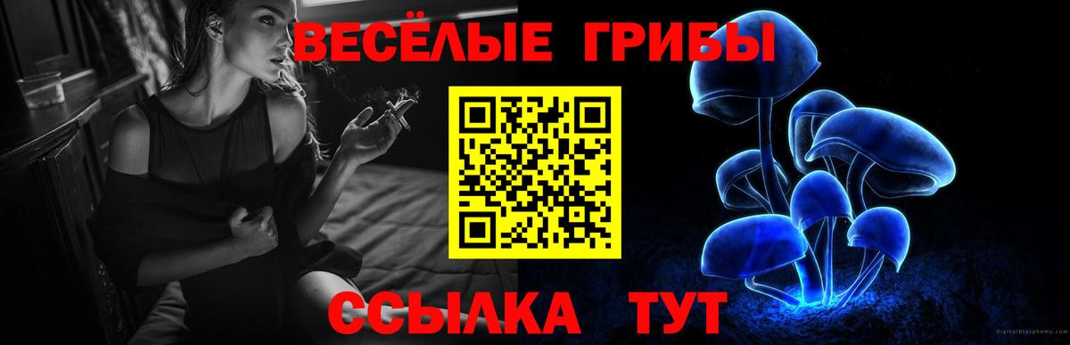 Псилоцибиновые грибы прущие грибы  Галлюциногенные грибы Cubensis  Горячий Ключ  Вход с VPN 